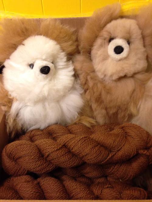 Alpaca-fleece teddy bear