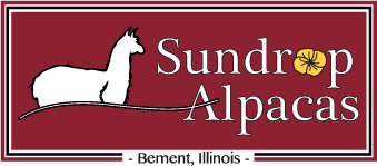 Sundrop Alpacas - Bement Illinois - Logo